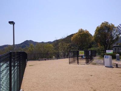 大浜DR-01.JPG