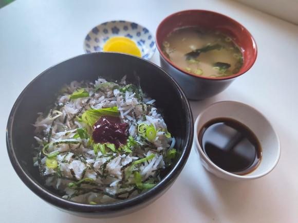 梅風味釜揚しらす丼