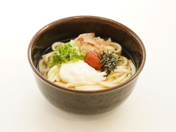 本枯れ節とろろうどん